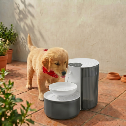 PetraLiving™ PureFlow Wireless Hydration Fountain - view 8